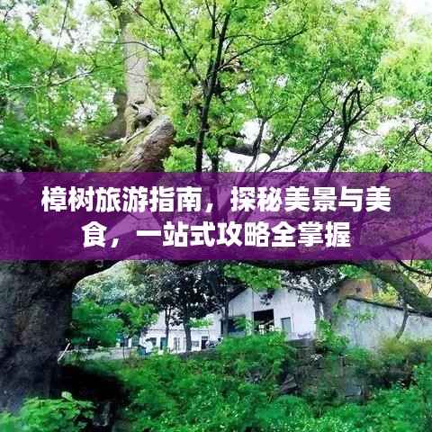 樟树旅游指南,探秘美景与美食,一站式攻略全掌握