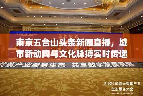 南京五台山头条新闻直播，城市新动向与文化脉搏实时传递