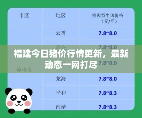 福建今日猪价行情更新,最新动态一网打尽