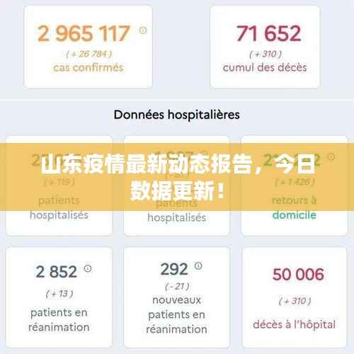 山东疫情最新动态报告，今日数据更新！