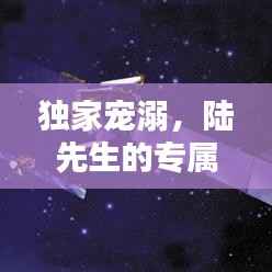 独家宠溺,陆先生的专属温柔