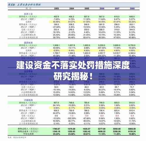 建设资金不落实处罚措施深度研究揭秘!