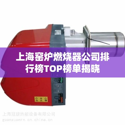 上海窑炉燃烧器公司排行榜TOP榜单揭晓