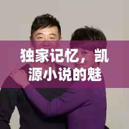 独家记忆,凯源小说的魅力所在