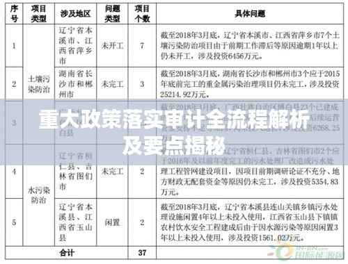 重大政策落实审计全流程解析及要点揭秘