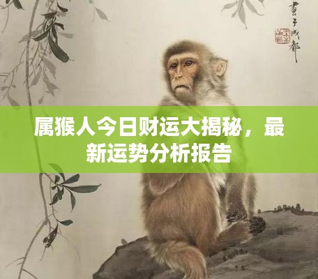 属猴人今日财运大揭秘，最新运势分析报告
