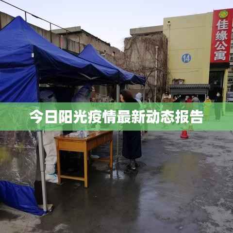 今日阳光疫情最新动态报告