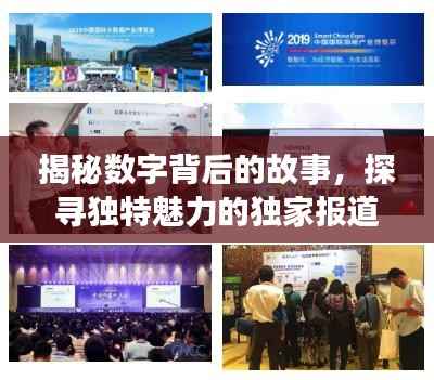 揭秘数字背后的故事,探寻独特魅力的独家报道
