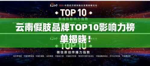 云南假肢品牌TOP10影响力榜单揭晓!