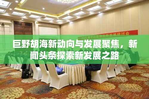 巨野胡海新动向与发展聚焦,新闻头条探索新发展之路