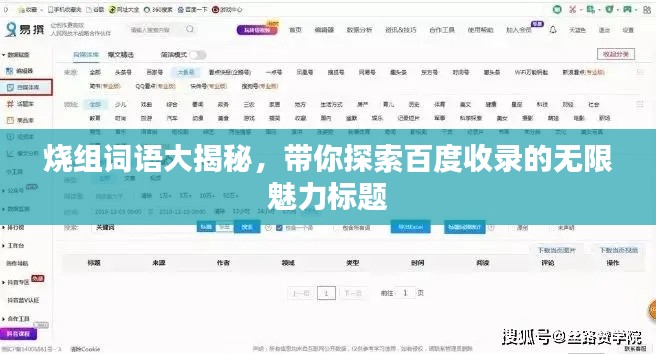 烧组词语大揭秘,带你探索百度收录的无限魅力标题