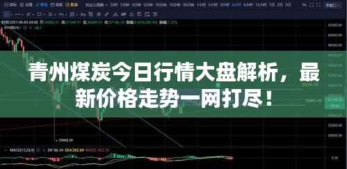 星星打烊 第5页