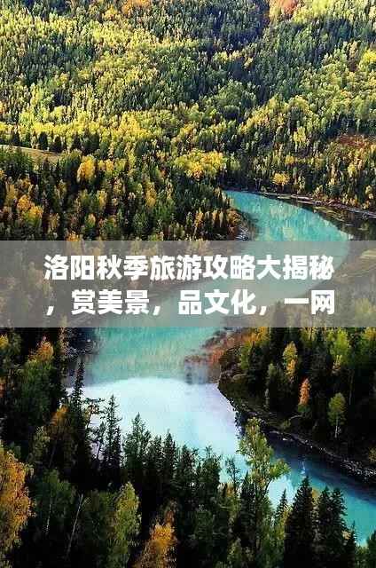 洛阳秋季旅游攻略大揭秘，赏美景，品文化，一网打尽秋日风情！