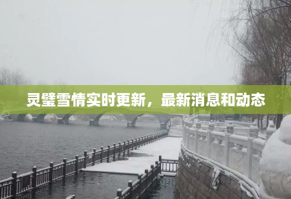 灵璧雪情实时更新,最新消息和动态