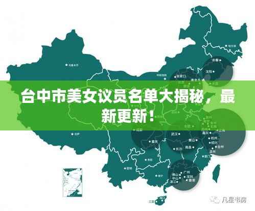 台中市美女议员名单大揭秘,最新更新!
