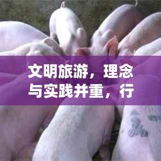 文明旅游,理念与实践并重,行动落实是关键