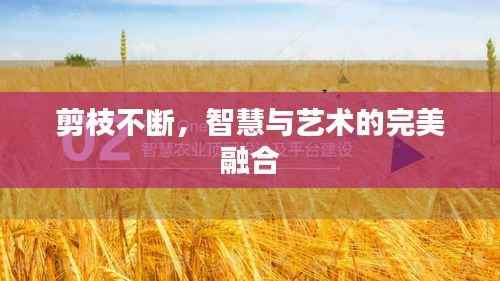 剪枝不断,智慧与艺术的完美融合